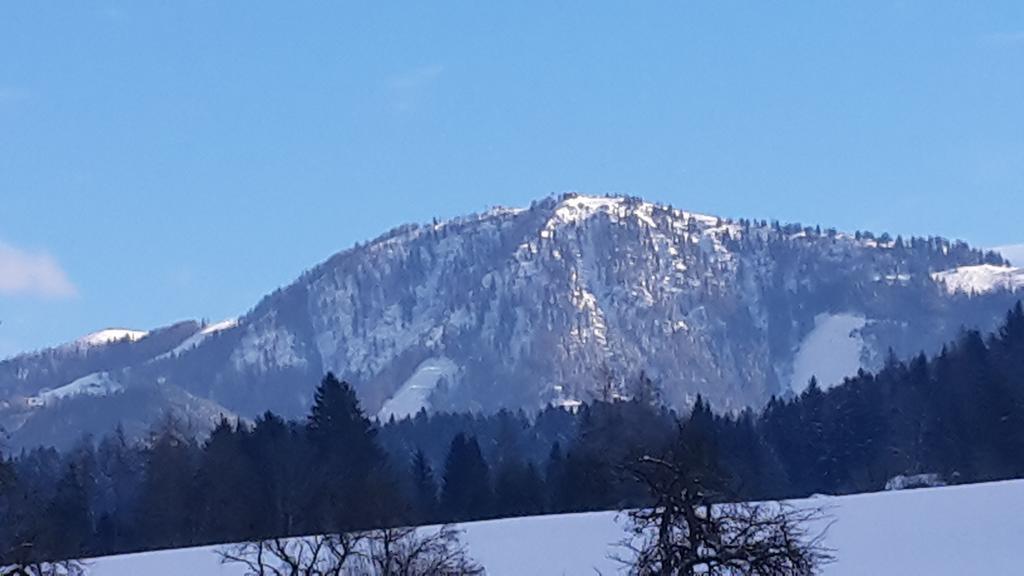 Pension Sonneck Pfarrwerfen Buitenkant foto